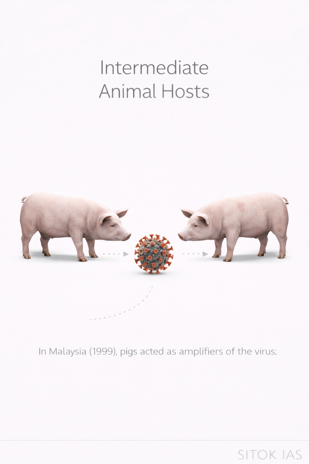 Intermediate animal hosts