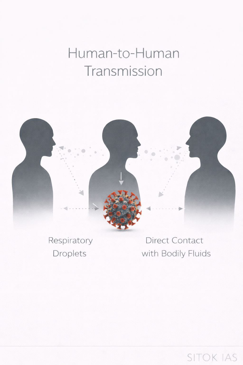 human to human transmission