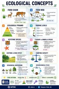 Ecological Concepts